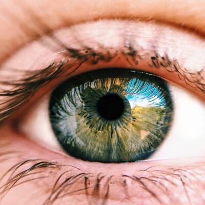 The Window to the Soul: Understanding the Eye, its Functions, Parts, Defects and Care